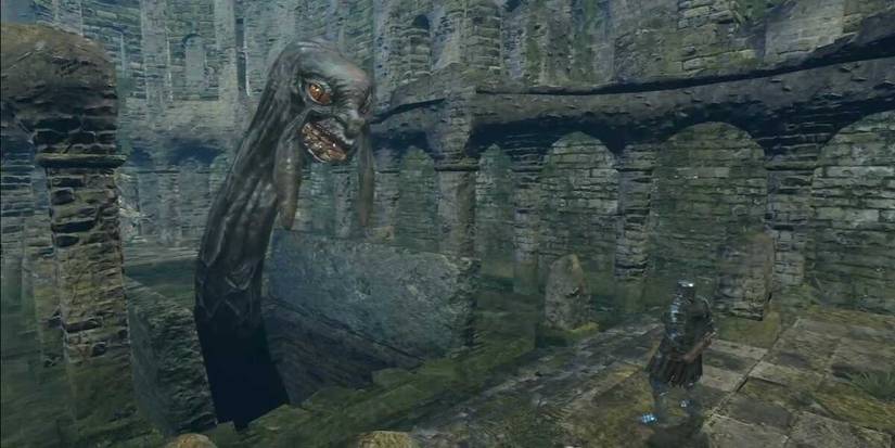 Kingseeker Frampt in Dark Souls