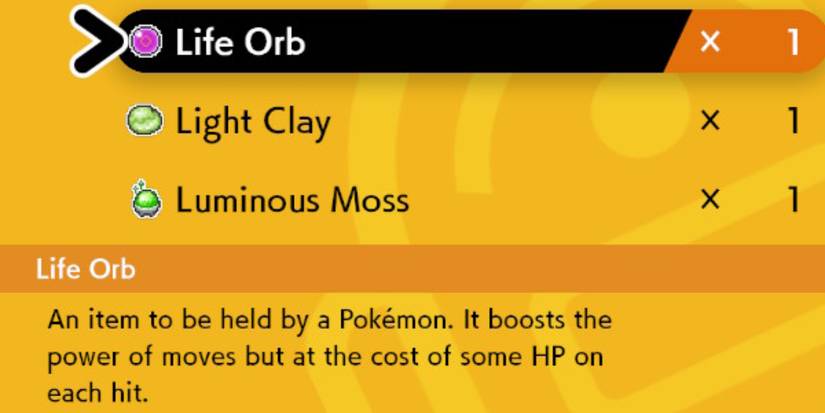 held Item pokemon Sword