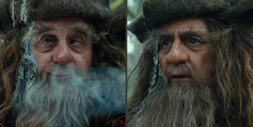 Radagast The Brown (Lord of the Rings)