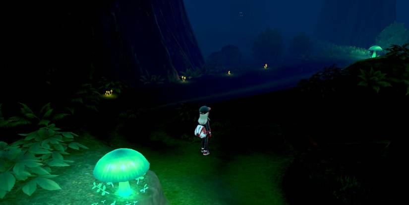 Held Item Pokemon Sword