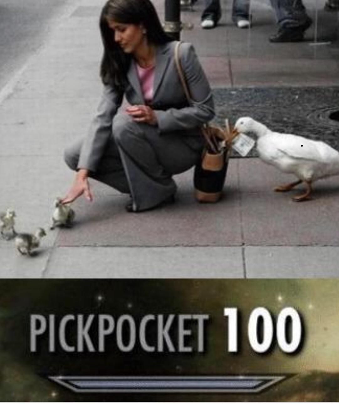 Duck pickpocket meme