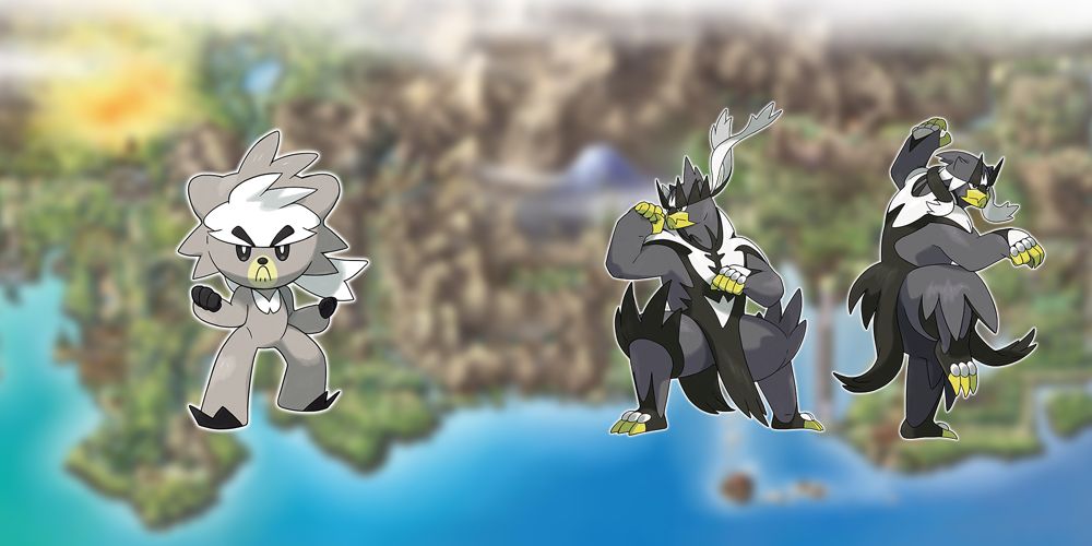 Kubfu's branched evolutions (Pokémon)