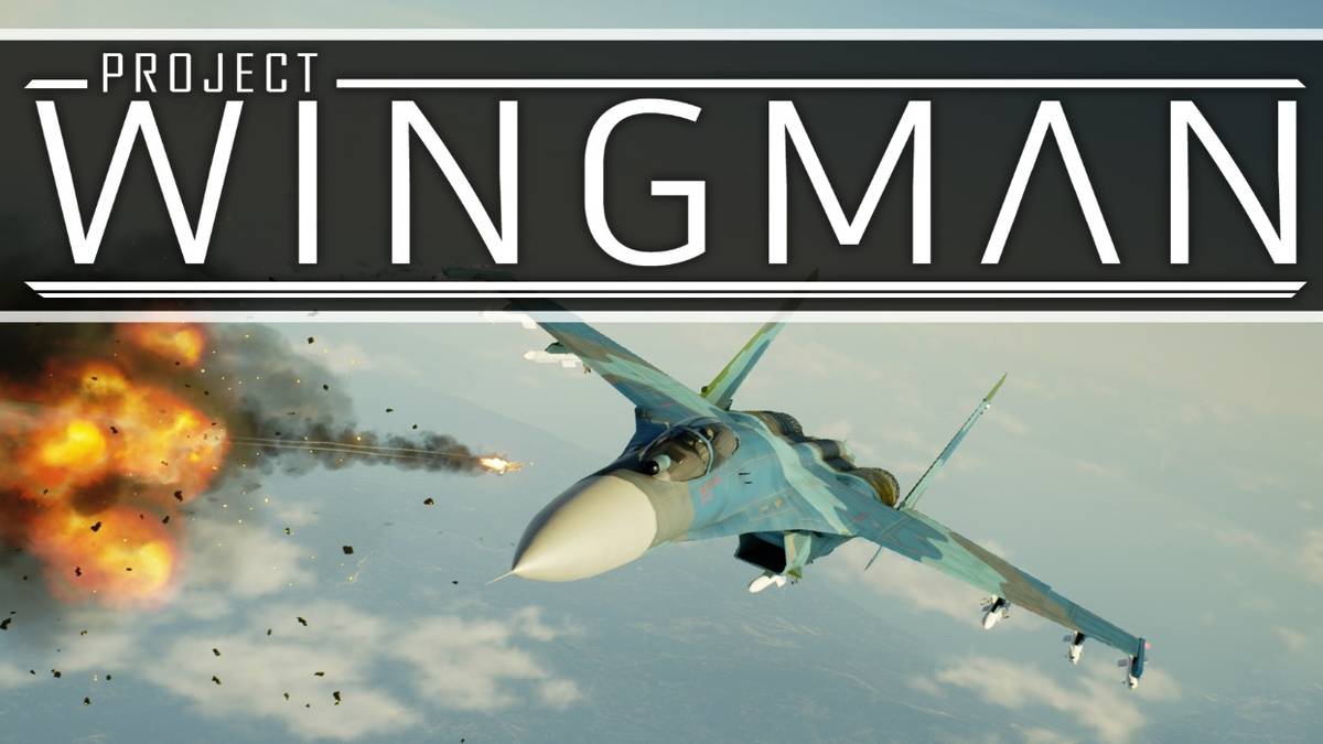 project wingman logo with plane