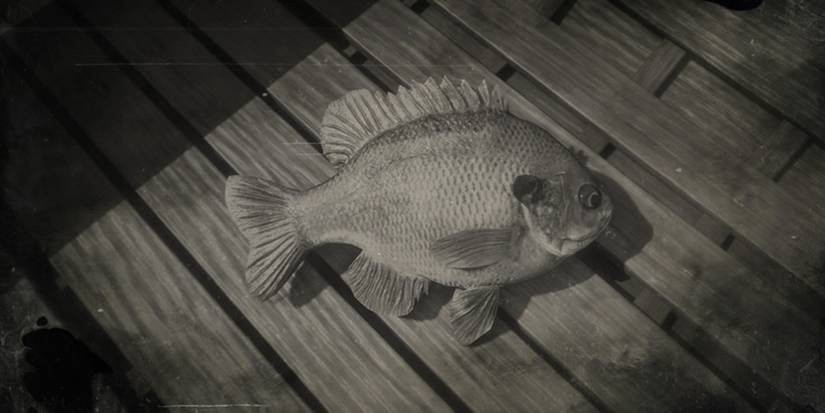 A Bluegill from Red Dead Online