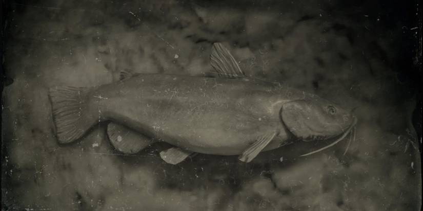A Bullhead Catfish from Red Dead Online