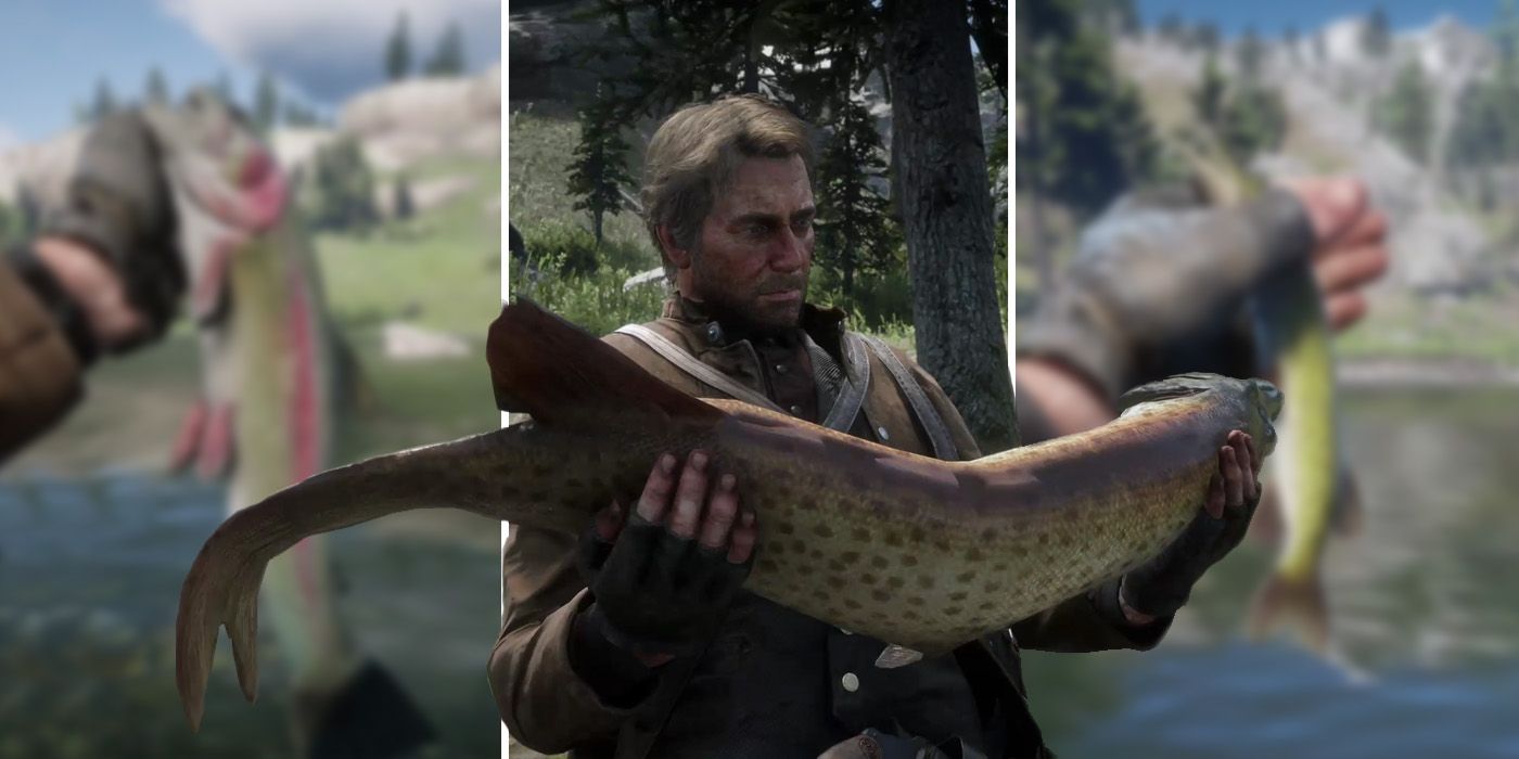 I caught THE MOST EXPENSIVE FISH in Fishing Break Online 