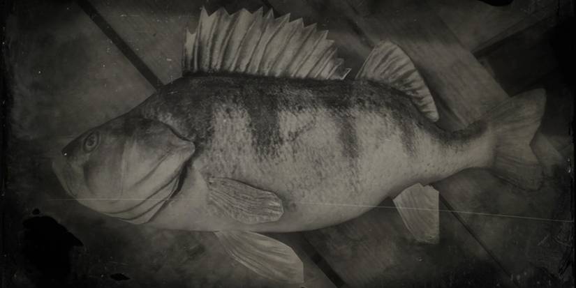 A Perch from Red Dead Online