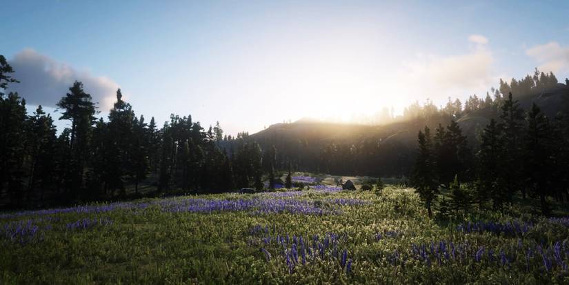 red dead redemption 2 big valley