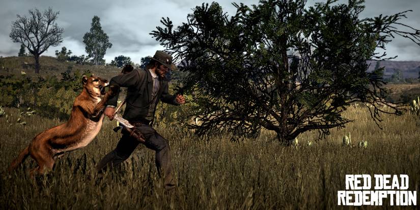 red dead redemption Cougar