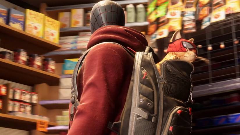 spider-man cat backpack