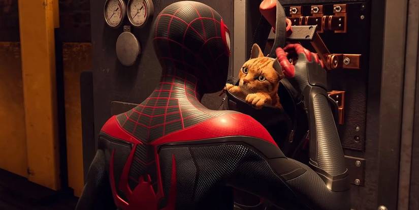 spider-man miles morales Lost Cat