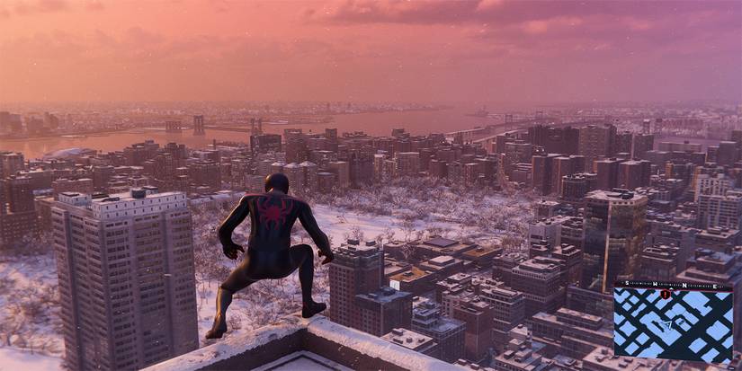 Miles perched on rooftop