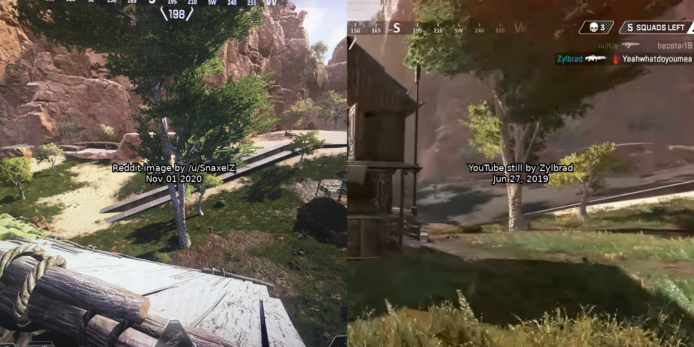 On the left, an image posted on November 1st, 2020. On the right, an image from a YouTube video posted June 27th, 2019. Both appear to be of the same tree from different angles.