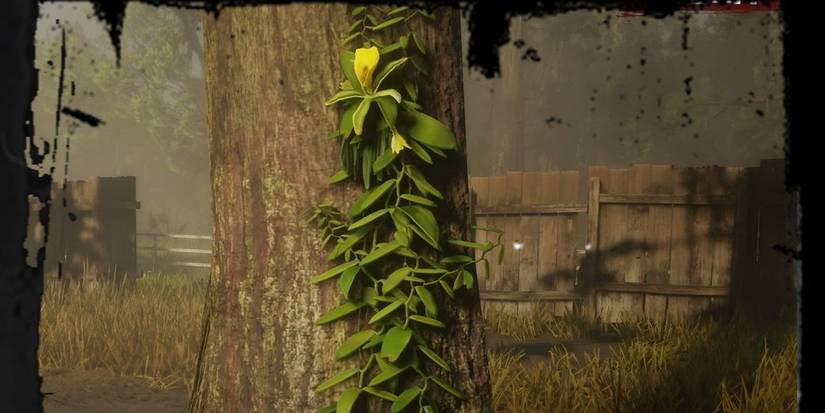 Vanilla Flower Red Dead Online