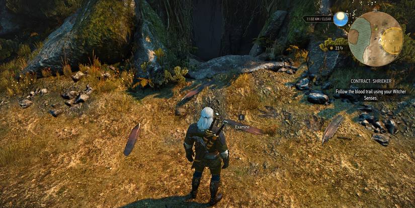 Investigating a blood trail in The Witcher 3