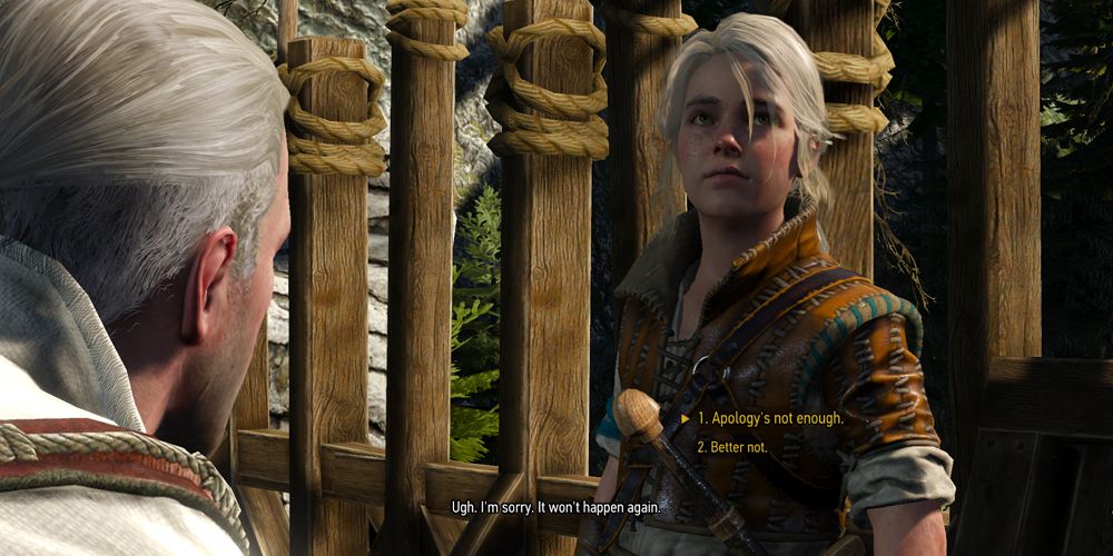 One of the many dialogue choices in the Witcher 3