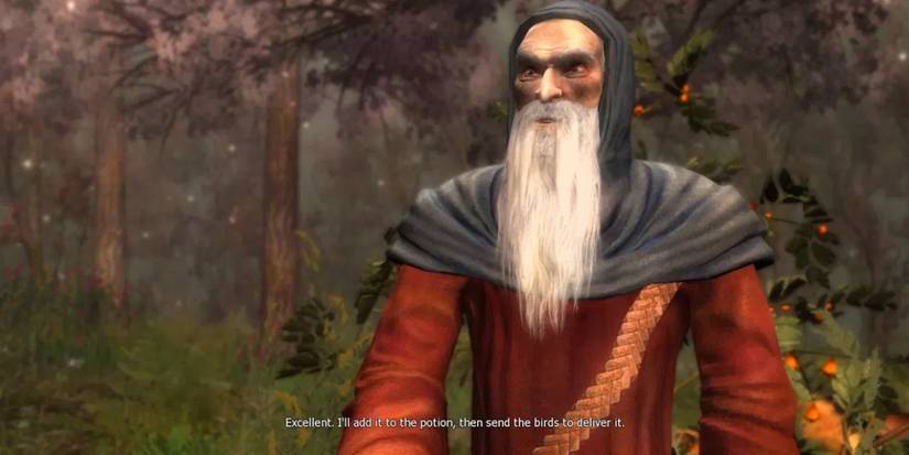 The Elder Druid from the first Witcher game
