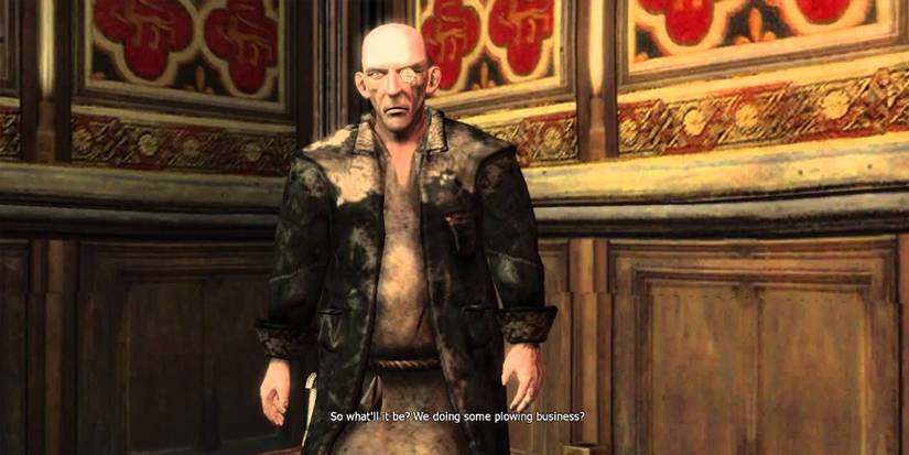 A fence from the first Witcher game