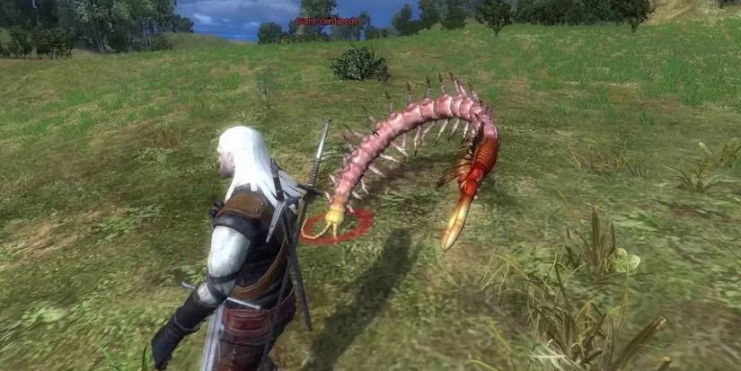 A Giant Centipede from the first Witcher game