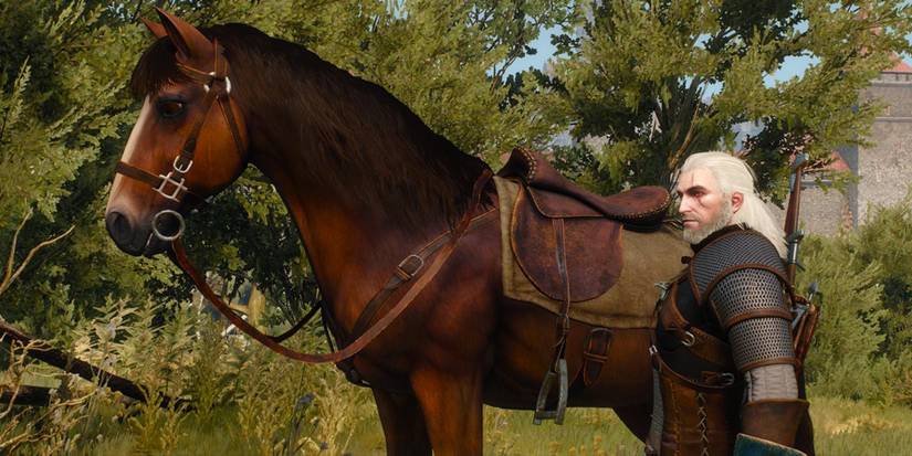 Geralt and Roach (The Witcher 3)