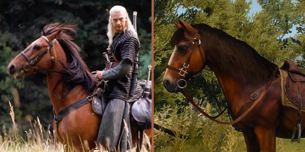 Roach from The Witcher Netflix and The Witcher 3