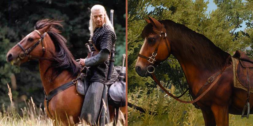 Roach from The Witcher Netflix and The Witcher 3