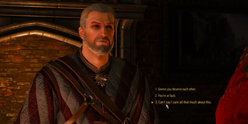 One of the many dialogue choices in the Witcher 3