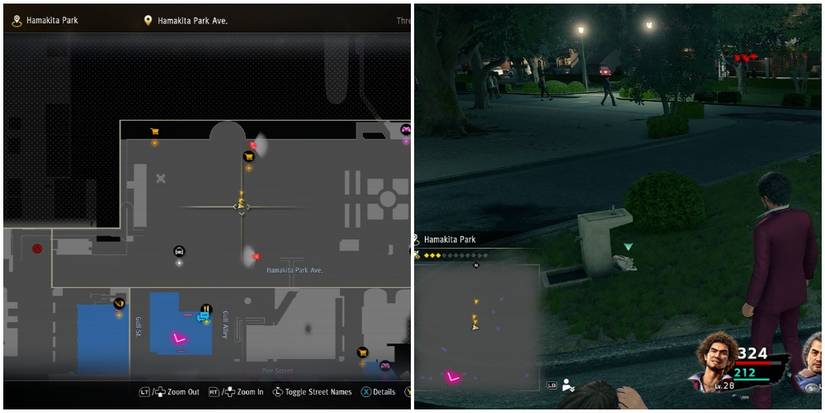 yakuza like a dragon cat hamakita park