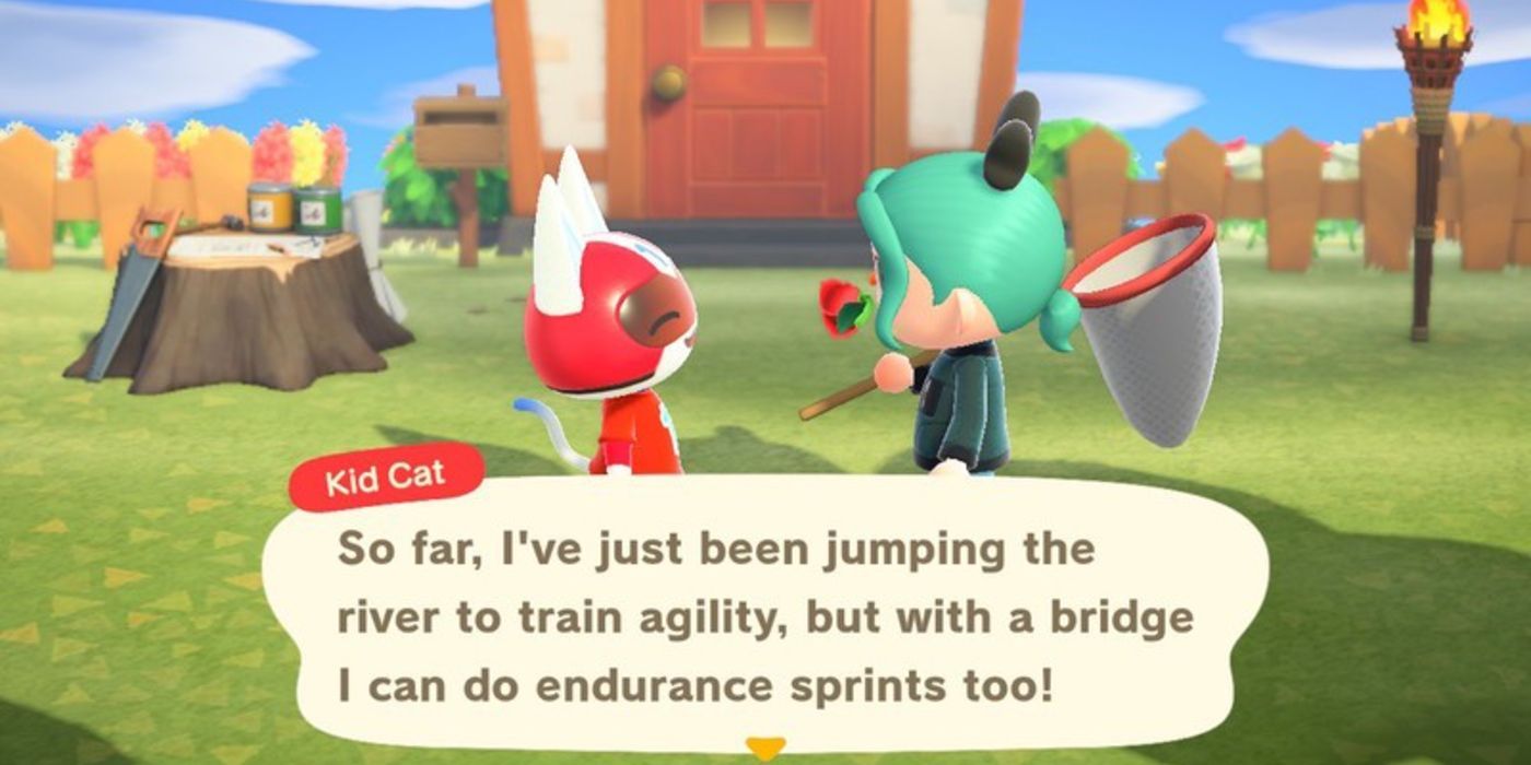 Animal Crossing Kid Cat in dialogue with player