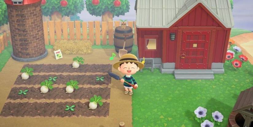 Animal Crossing Player standing next to Kid Cat's house