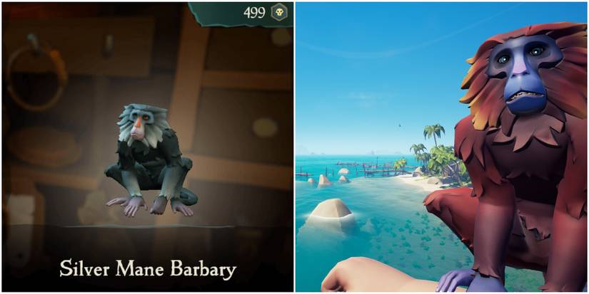 Sea of Thieves Barbary