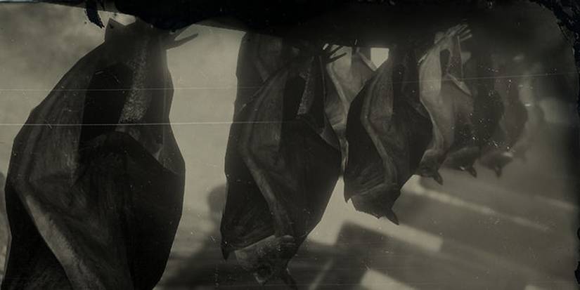 Bats sleeping Red Dead Online