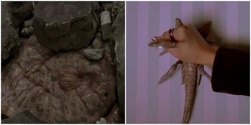 Buffy Bezoar and its Offspring