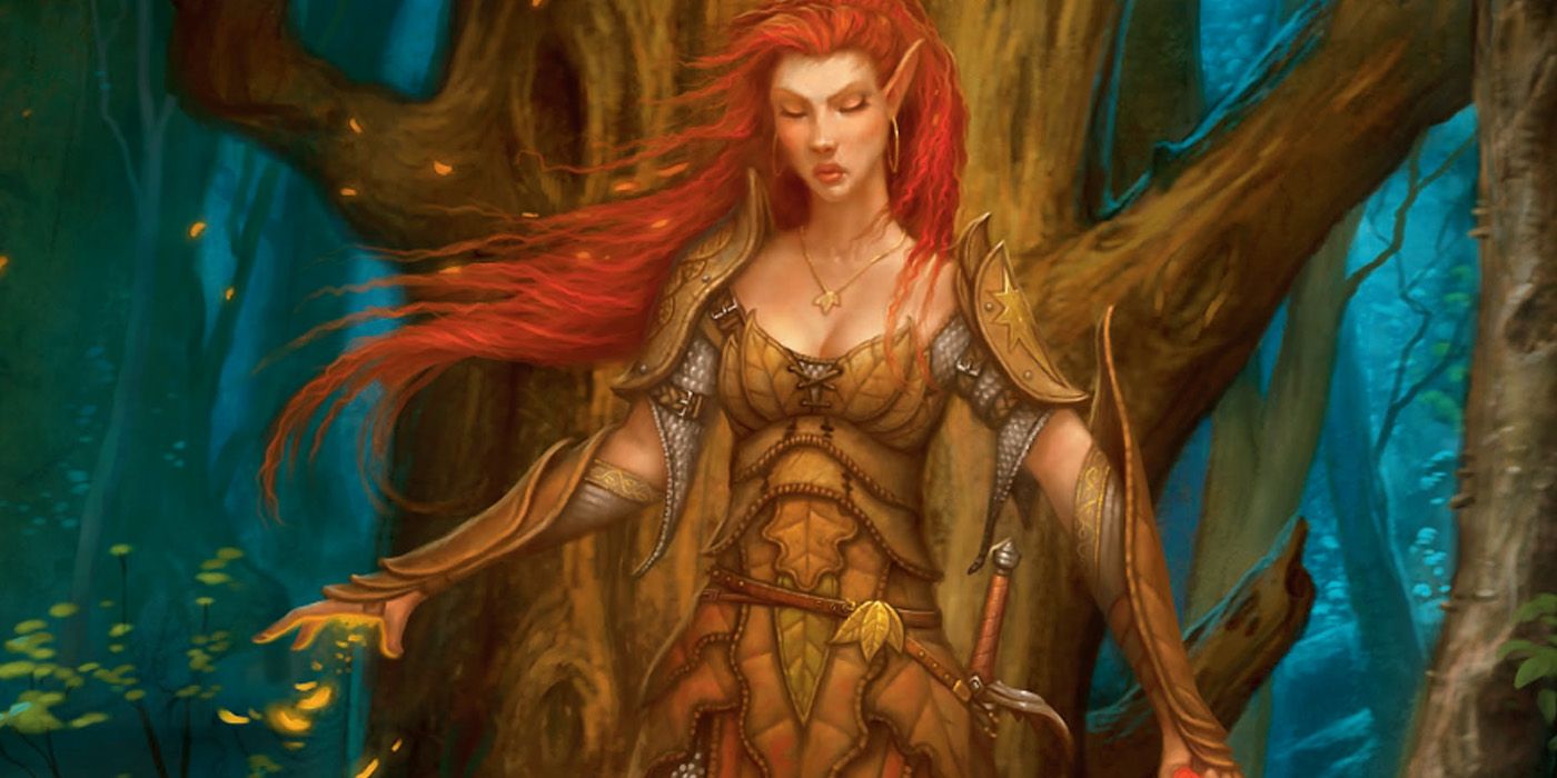 Circle of the Moon Druid - Dungeons and Dragons
