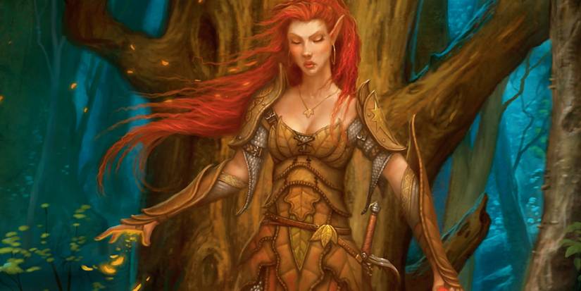 Circle of the Moon Druid - Dungeons and Dragons