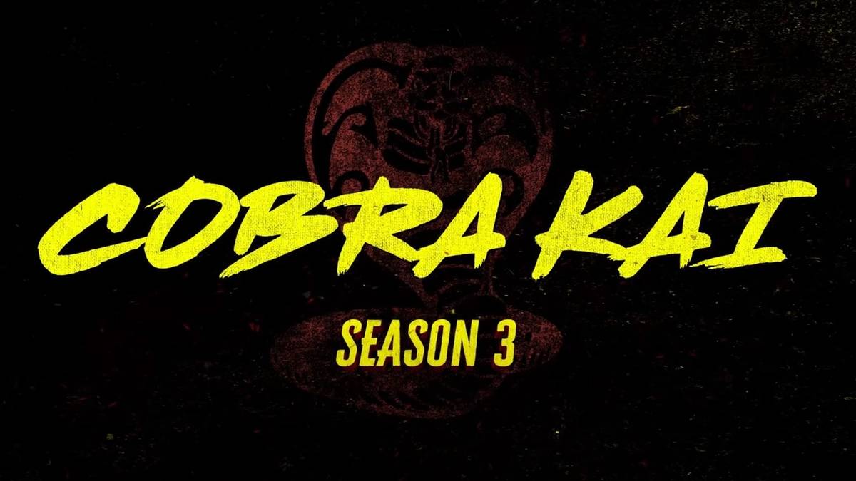 Here S The First Footage From Cobra Kai Season 3