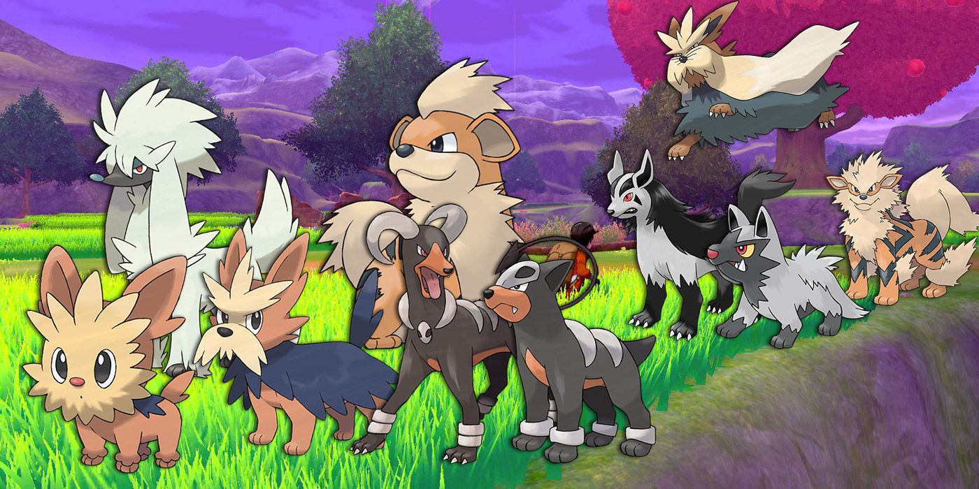 DogInspired Pokemon Make the Perfect Pack