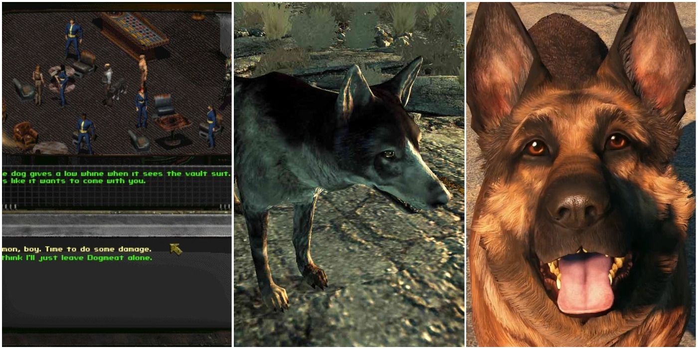 Dogmeat From Fallout 2, Fallout 3 & Fallout 4