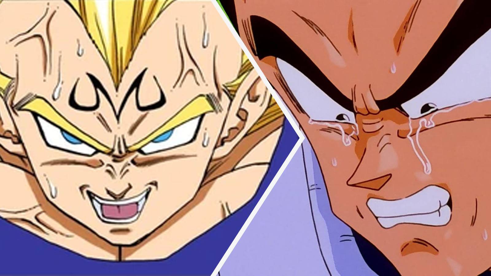Dragon Ball Z Majin Vegeta crying