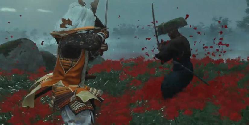 Fighting a Straw Hat - Ghost of Tsushima Ryuzo Facts