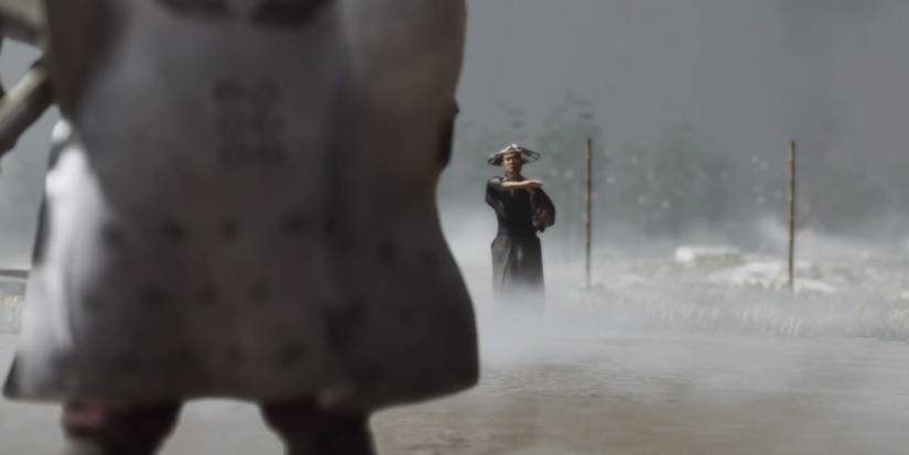 Fighting another Straw Hat - Ghost of Tsushima Ryuzo Facts