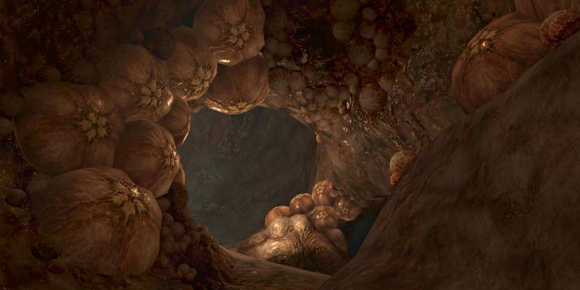 Flood Infested Walls