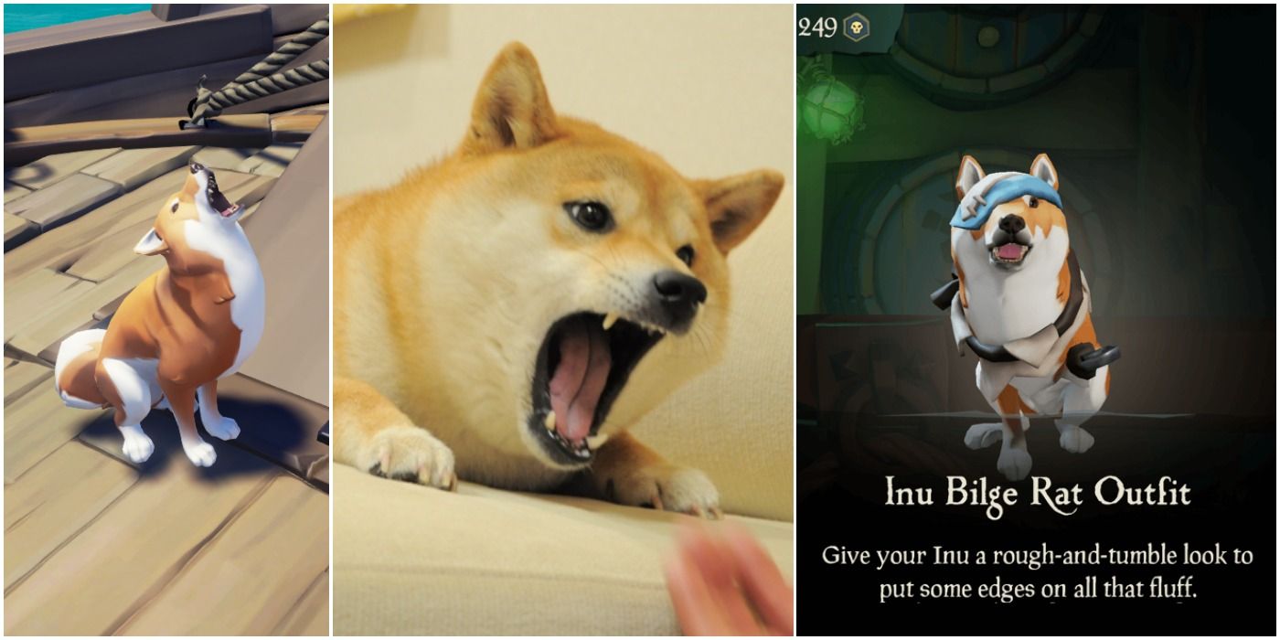 Sea of Thieves Inu