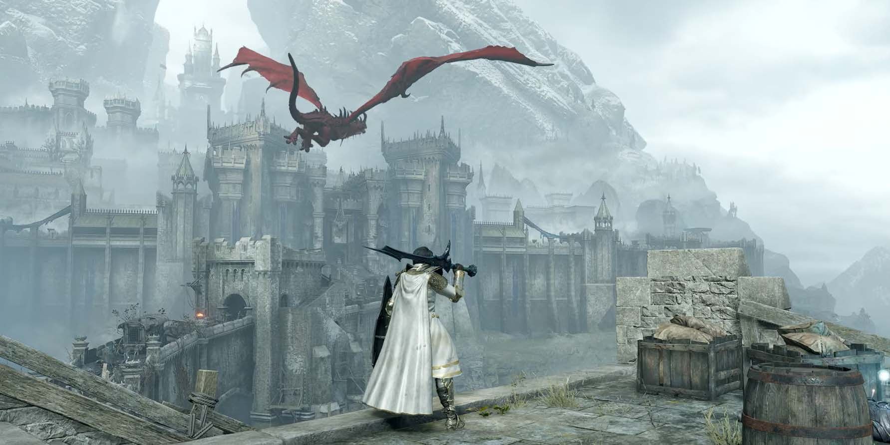Player Character Overlooks The Gates Of Boletaria