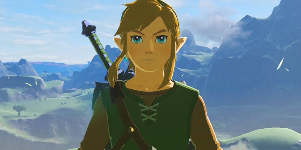 Link Tunic of the Wild in BOTW