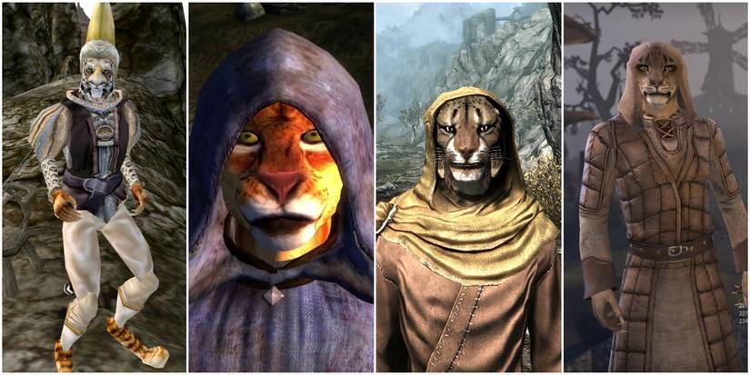 M'aiq From The Elder Scrolls Morrowind, Oblivion, Skyrim, Online