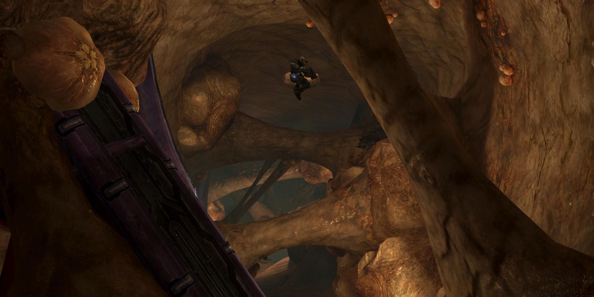 Master Chief Amid Flood Infested Caverns