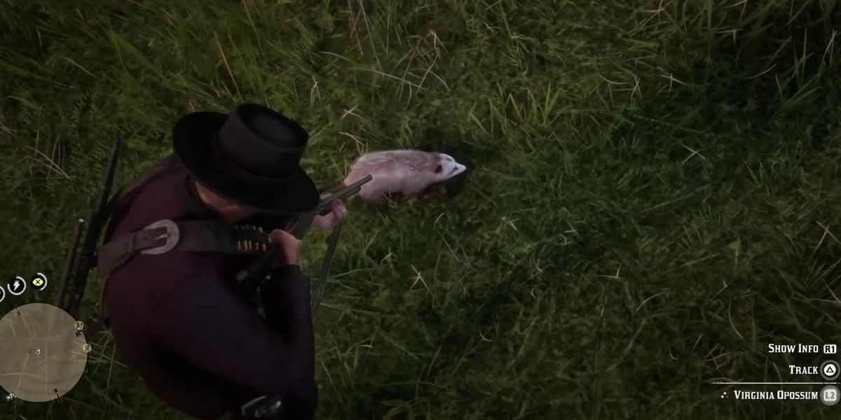 player standing over a Virginia Opossum Red Dead Online