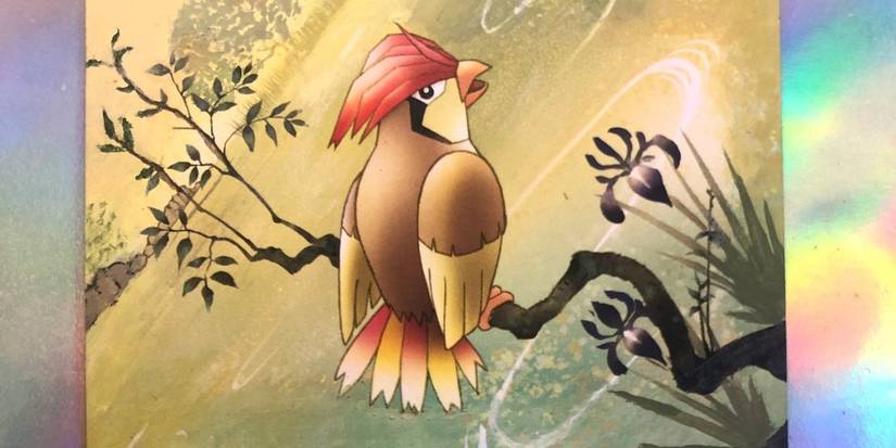 Pidgeotto Pokémon Card Perched Black Branch Over River Misty Morning