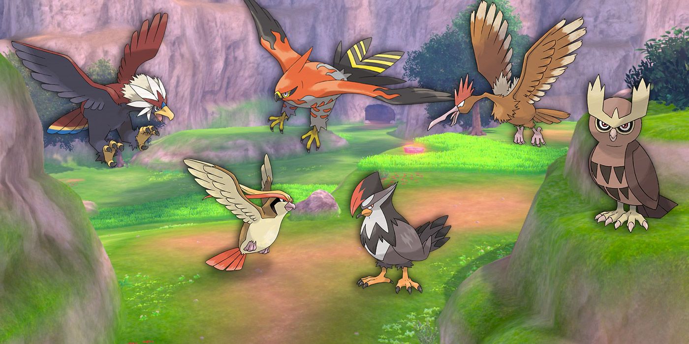 Pokemon Gimmicks Birds